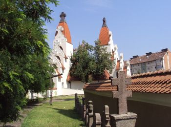 Percorso A piedi Miercurea Ciuc - oraș Miercurea Ciuc - Poiana Hirtelen - intersecție traseul BA (creasta principală) - Photo