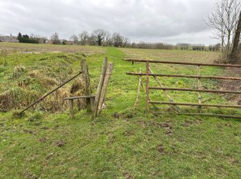 Trail Walking Ellezelles - Lahamaide 10,6 km - Photo