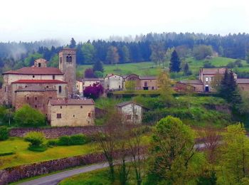 Tocht Stappen Auzelles - Auzelles_Croix_Pradier - Photo