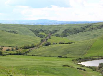 Trail On foot Asciano - IT-501 - Photo