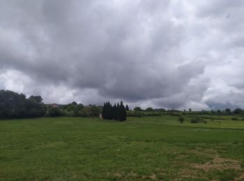 Tocht Stappen Le Tignet - Tignet siagne - Photo