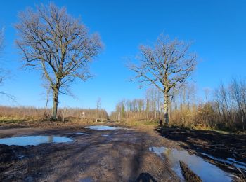 Tocht Mountainbike Brasles - Brasles VTT du 02/02/2025 - Photo