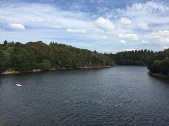 Excursión Senderismo Ploufragan - Bretagne - La Méaugon - Boucle autour du Gouët - Photo