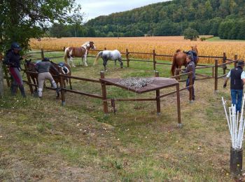 Tour Reiten Lobsann - Lobsann et alentours - Photo