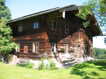 Percorso A piedi Hof bei Salzburg - Kapellenspur - Photo