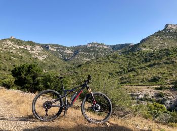 Trail Mountain bike Puget - Puget -le Trou du Rat par les singles - Photo