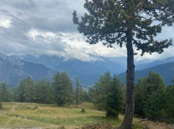 Tour Wandern Val de Bagnes - La crevasse  - Photo