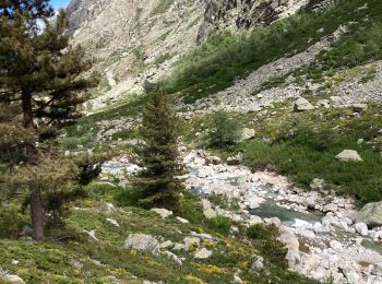Tour Wandern Corte - GR20 bergerie de Vaccaghja - Grotelles - Photo