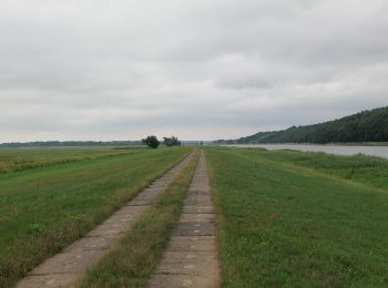 Tour Zu Fuß  - Bergweg - Photo