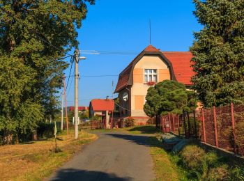 Percorso A piedi Lomnice nad Popelkou - [Ž] Na Cikánce - Podkamínky - Photo