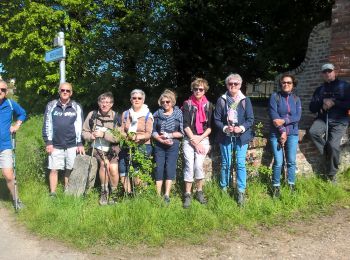 Randonnée Marche Bois-d'Ennebourg - 20190514 Bois Ennebourg  - Photo