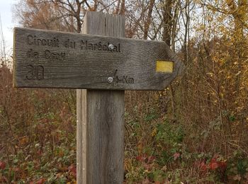 Randonnée Marche Péruwelz - Bon Secours - Photo