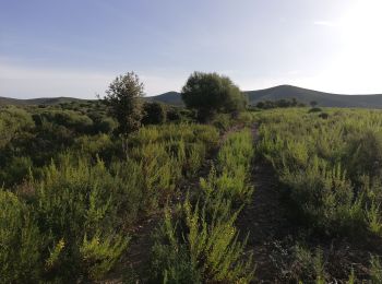 Tour Wandern Belgodère - les hauteurs de lozari (départ plage de Lozari) - Photo