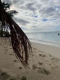 Trail Trail Sainte-Anne - Ste Anne  - Photo