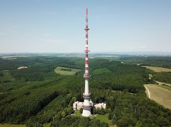 Tour Zu Fuß Újudvar - K+ (Gelse - Tukora) - Photo