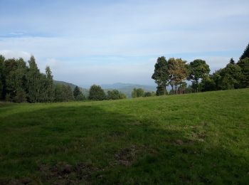 Tour Zu Fuß Targoszów - Szlak buków - Photo