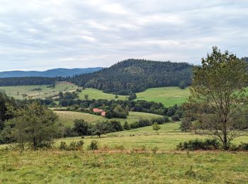 Randonnée Randonnée équestre Bourg-Bruche - 2023-09-16 Picnic CVA Climont Bourg Bruche - Photo