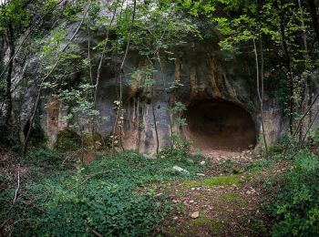 Tour Zu Fuß Negrar di Valpolicella - Avesa - Cà Antolini - Photo