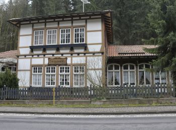 Randonnée A pied Friedrichroda - Kleiner Rundwanderweg Finsterbergen - Photo