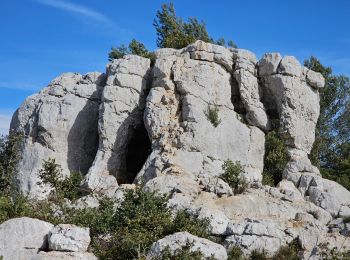 Trail Walking Signes - Signes - L'éléphant de pierre - Photo