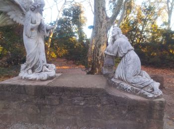 Tocht Lopen Solliès-Pont - le domaine de Castille  - Photo