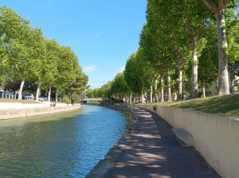 Tour Wandern Narbonne - petit tour dans Narbonne - Photo