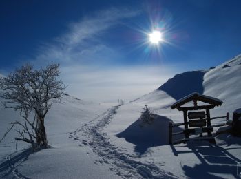 Percorso A piedi Nußdorf am Inn - Kranzhorn über Bubenaualm - Photo