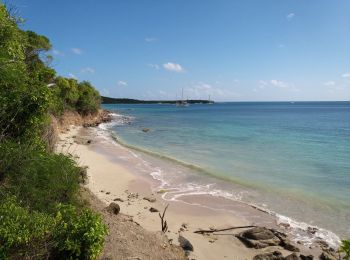 Percorso Marcia Sainte-Anne - Anse Caritan -> Anse Meunier - Photo