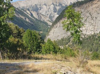 Excursión Bici de montaña Jausiers - Pas de Grégoire /Chatelard - Photo