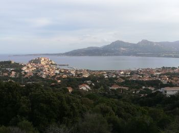 Percorso Marcia Calvi - Autour de Calvi - Photo