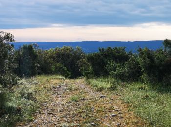 Tour Nordic Walking Saint-Ambroix - 15.05.20 piste - Photo