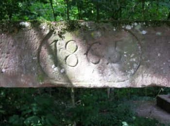 Tour Zu Fuß Wörth an der Sauer - Croix bleue - Photo