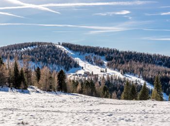 Percorso A piedi Deutsch-Griffen - Wanderweg Deutschgriffen - Hochrindl - Photo
