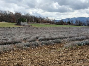 Percorso Marcia Castellet-en-Luberon - St Martin de Castillon - Caseneuve - Photo