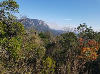 Trail Walking Montgaillard - Mines de Montgaillard Aude - Photo