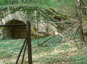 Tocht Stappen Toul - TOUL - LA CROIX D'ARGENT - Photo