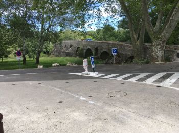 Randonnée Marche La Roque-sur-Cèze - La Roque sur  Ceze  - Photo