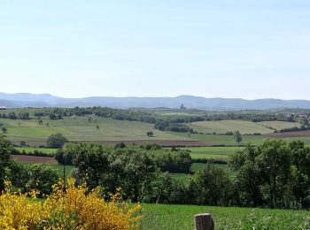 Percorso Marcia Lempdes-sur-Allagnon - Lempdes_Allagnon_Amouroux - Photo