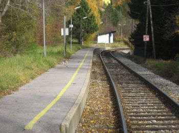 Tour Zu Fuß Gemeinde Puchberg am Schneeberg - Puchberg - Pfennigbach - Grünbacher Sattel - Photo