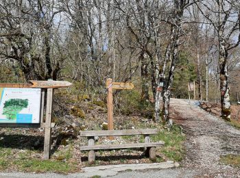 Excursión Senderismo Foncine-le-Haut - Le Bayard  - Foncine le Haut  - Photo