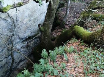 Randonnée Marche Clansayes - les crevasses  - Photo