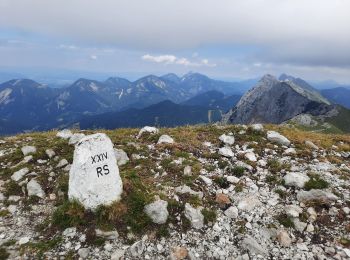 Tocht Stappen Tržič - veliki vrh 2086 - Photo