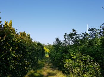 Tocht Stappen Luik - Rocourt - Xhendremael - Rocourt  - Photo