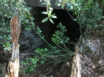 Tocht Stappen La Crau - Grotte col du serre - Photo