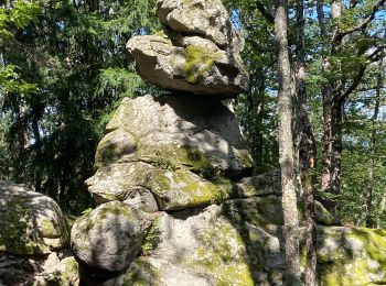 Trail Walking Fayet-le-Château - Ronde des fours  - Photo