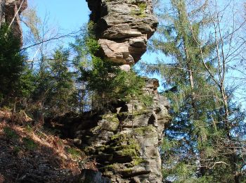 Tour Zu Fuß Stainz - Sommereben Rundwanderweg 58 - Photo