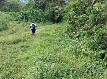 Tour Wandern Le Lorrain - Boucle Stade Lorrain via Bon Repos - Photo