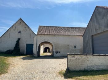 Excursión Senderismo Tubize - Les étangs Lievin - Photo