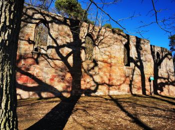 Tour Zu Fuß Bürgstadt - Rundwanderweg Bürgstadt Stutz L: Geopark-Kulturpfad - Photo