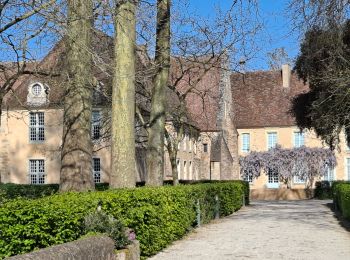 Percorso Marcia Le Mans - Arche de la nature  - Photo